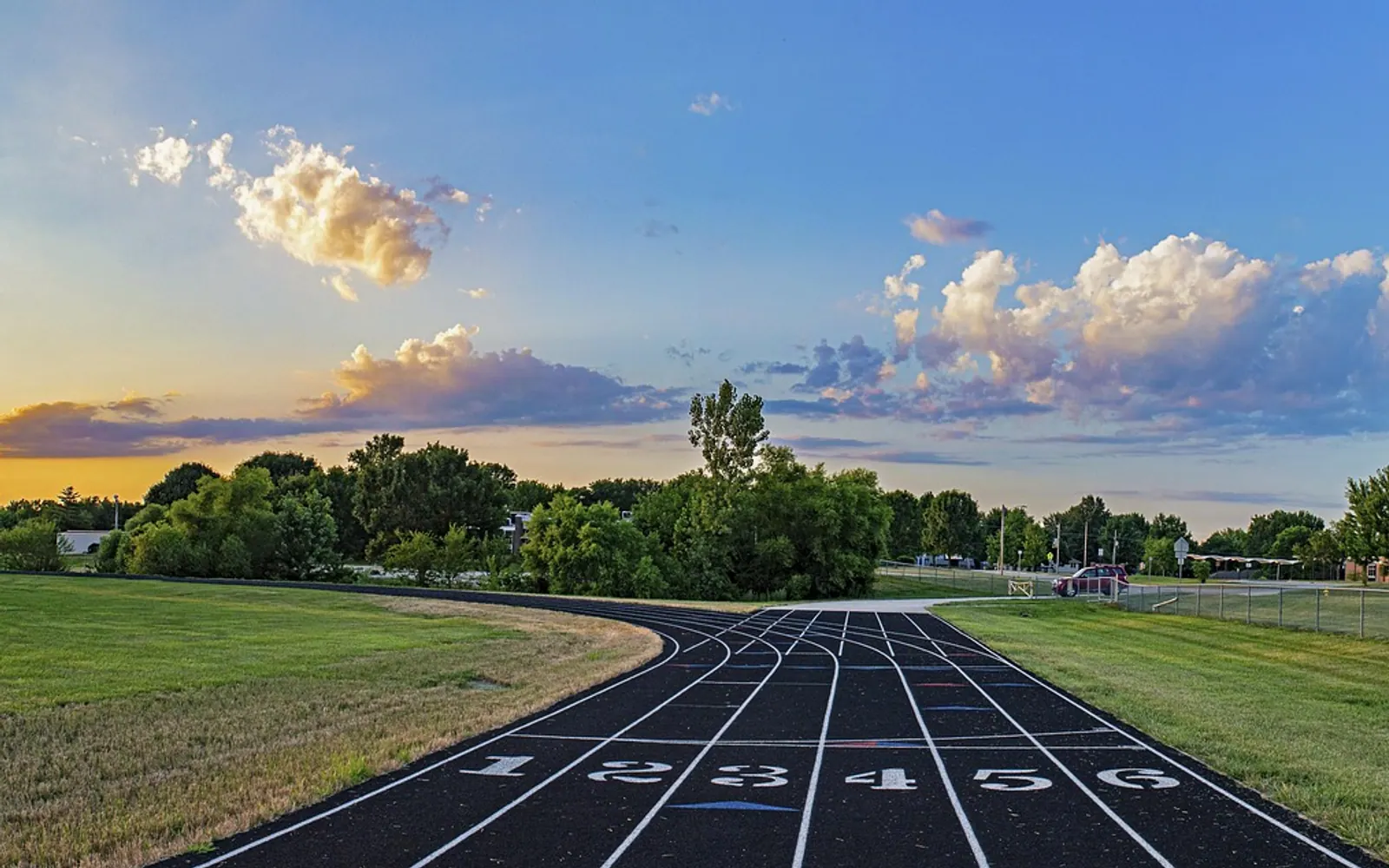 Track, starting line and race