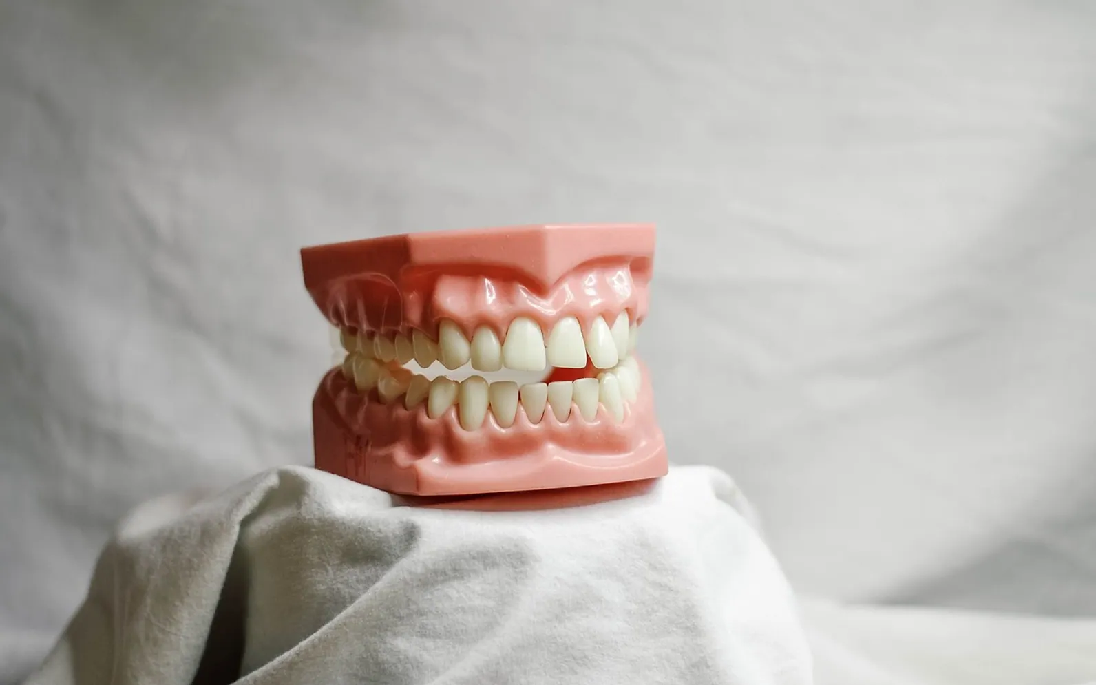 Teeth, dental and dental model