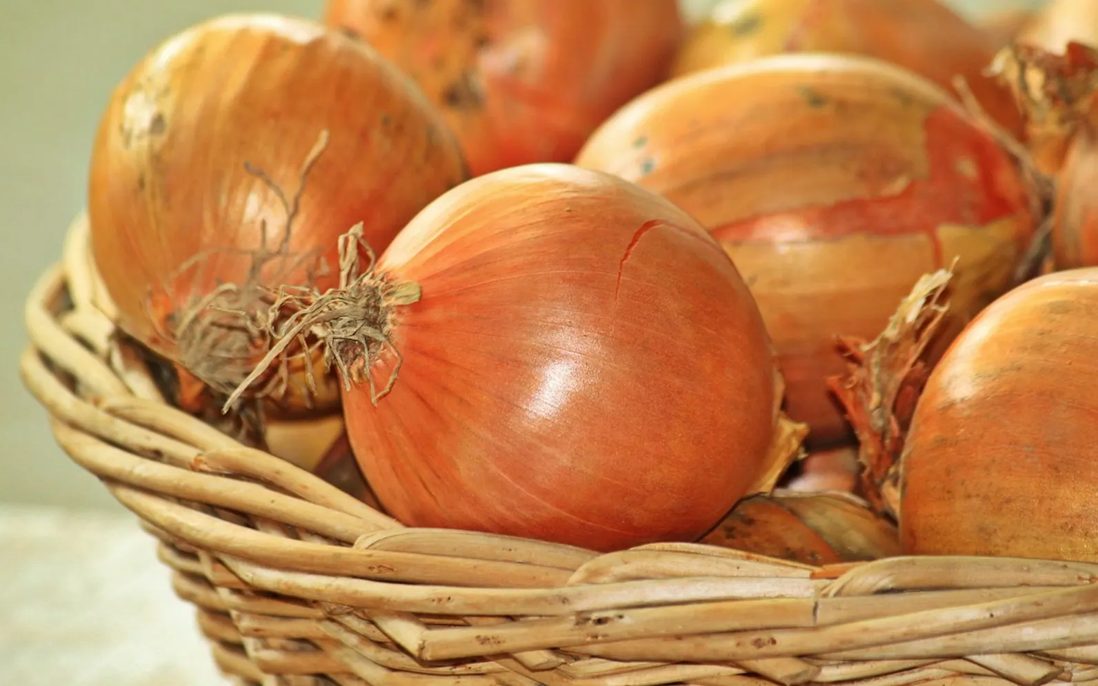 Onions, vegetables and food