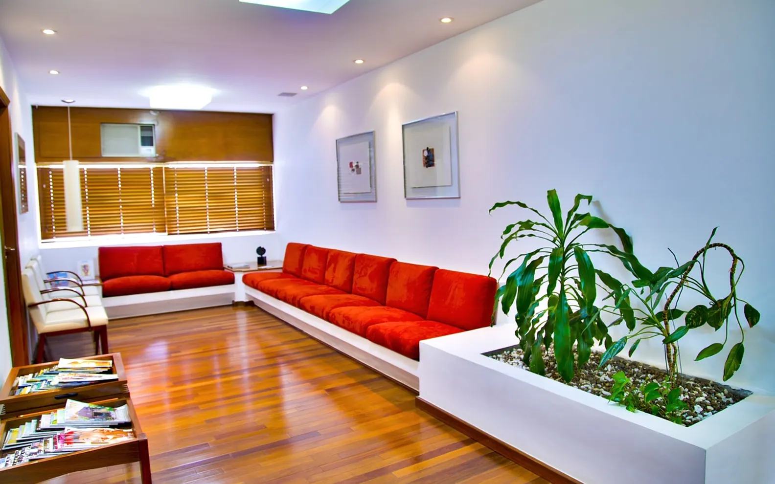 Waiting room, doctor and living room